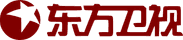 Dragon Television